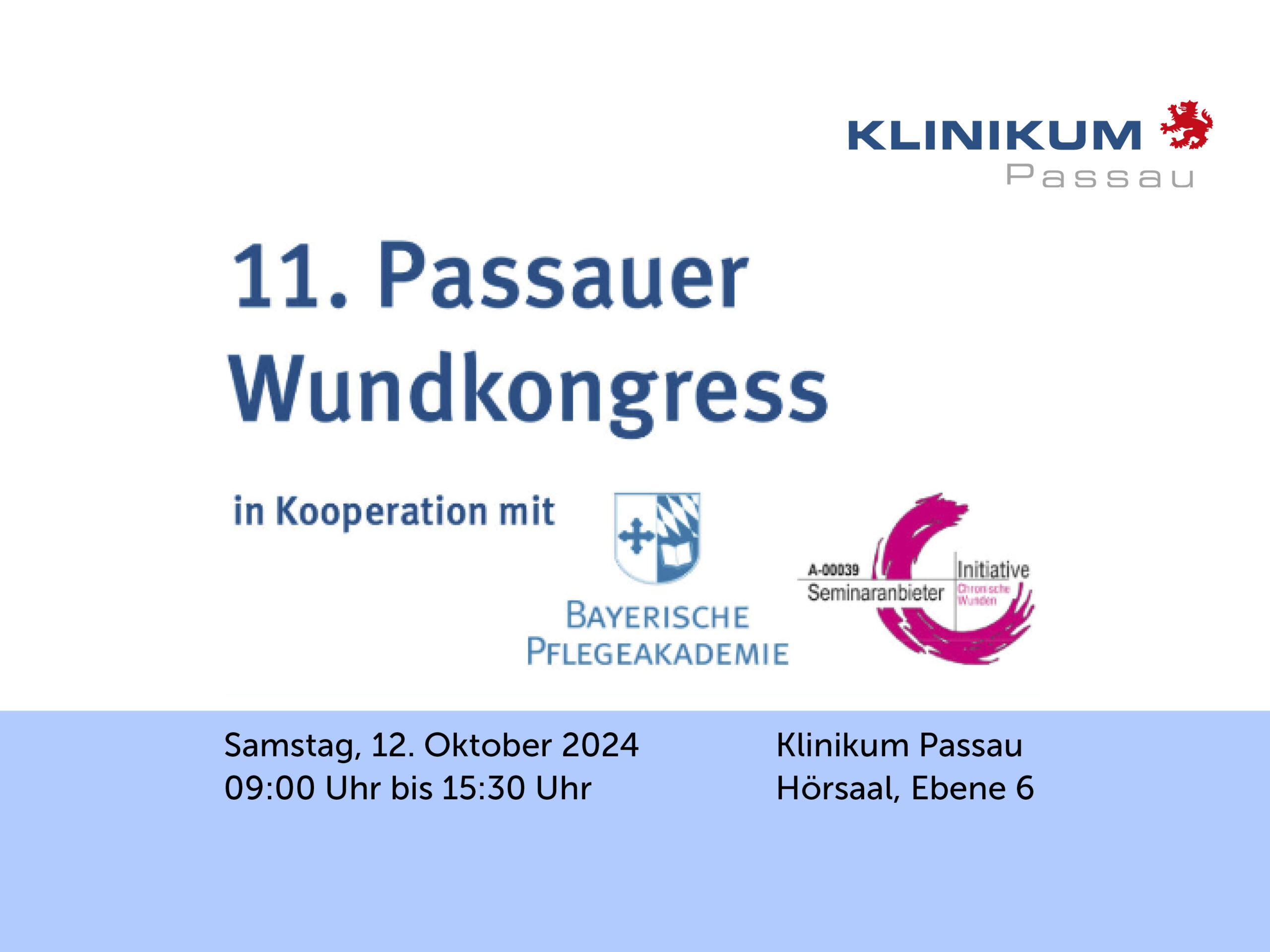 11th Wound Congress Passau